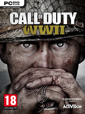 call of duty ww2 pc game