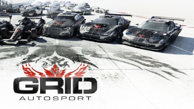 Grid autosport download pc minecraft free download java