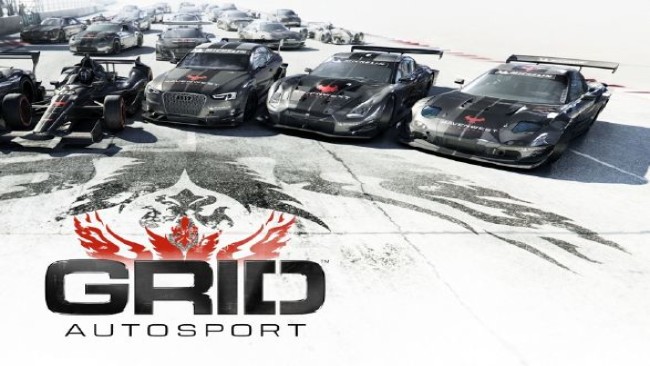 GRID™ Autosport Custom Edition android iOS apk download for free