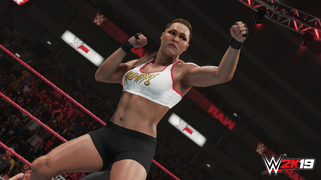 wwe-2k19-pc-download-highly-compressed