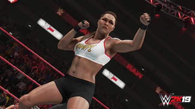 wwe 2k19 game for pc