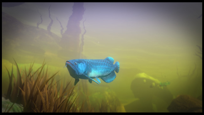 Feed and Grow Xbox One Fish Version Free Download - GMRF