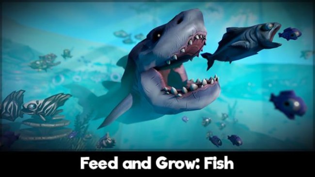 Stream Feed & Grow Fish Compilation by audinity