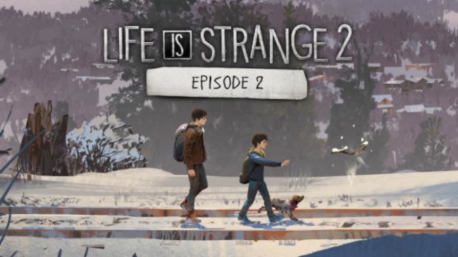 life is strange crashes on startup