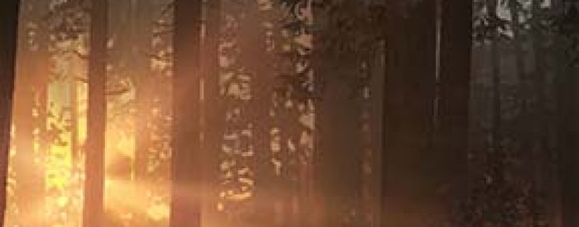 Life Is Strange 2 Free Download (Incl. EP 1-2)