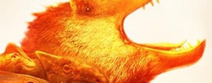 Saurian Free Download (v1.9.2843)