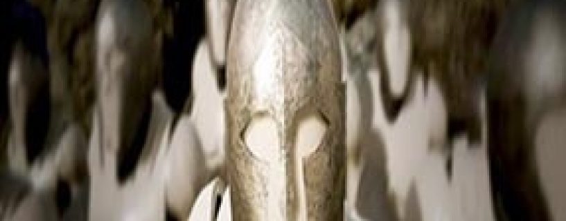 Formata Free Download
