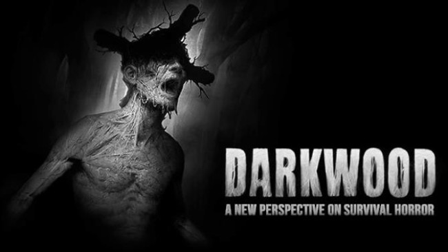 darkwood hideout 3