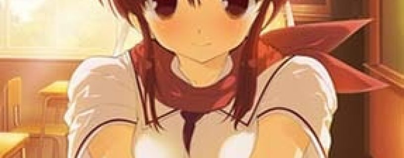 Senran Kagura Reflexions Free Download (v1.00)