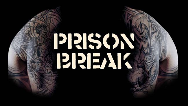 prison break season 2 free download