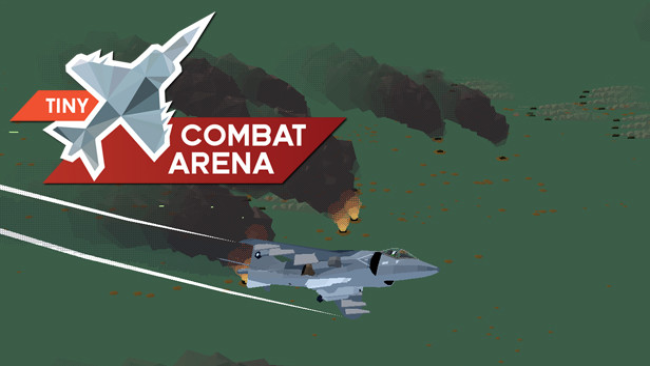 Tiny Combat Arena (v0.10.3.1)
