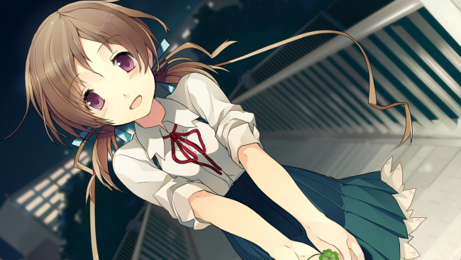 Love, Elections, And Chocolate Download for Free